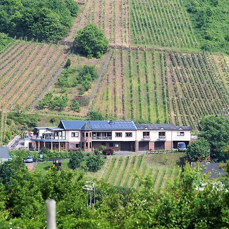 Urlaubsweingut Zecherhof Neef Екстериор снимка