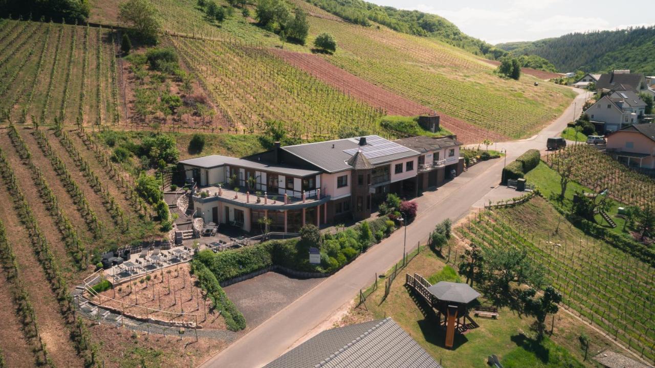 Urlaubsweingut Zecherhof Neef Екстериор снимка